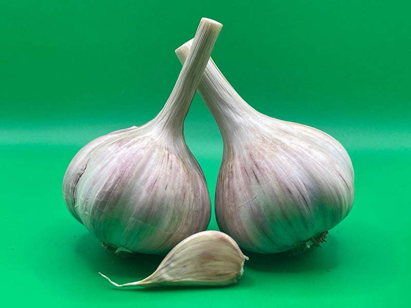 Aglio Rosso Di Sulmona