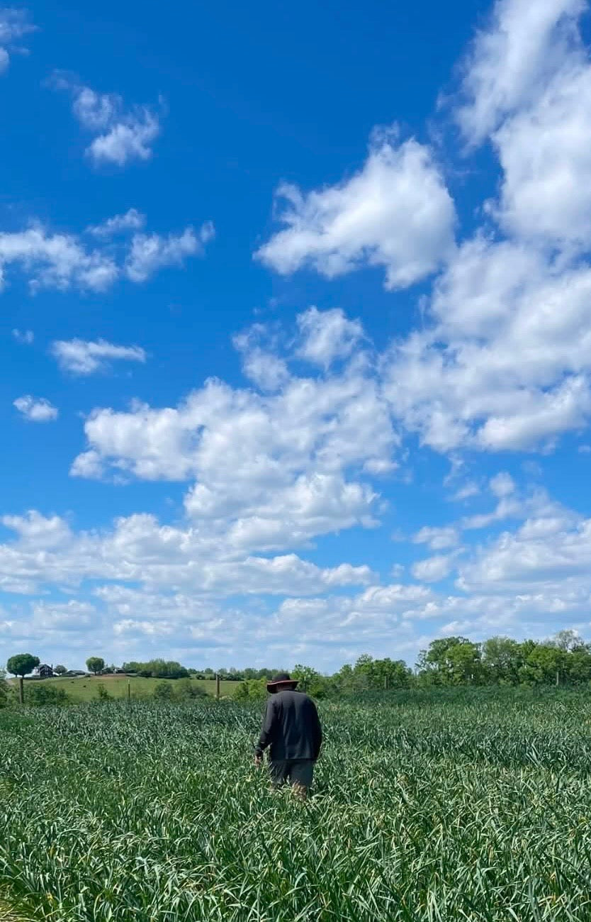 Gourmet Garlic Co. Kentucky Farm