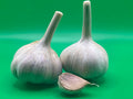 Metechi